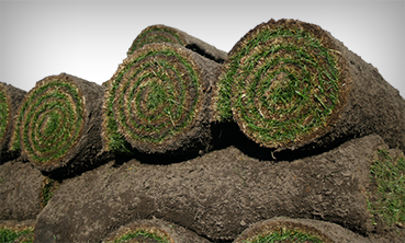 How much sod will you need?